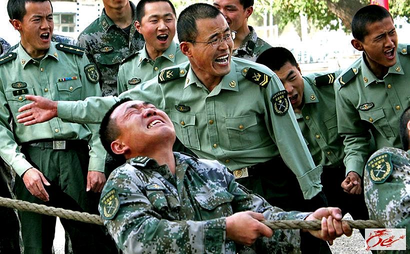 点击在新窗口查看原始图片