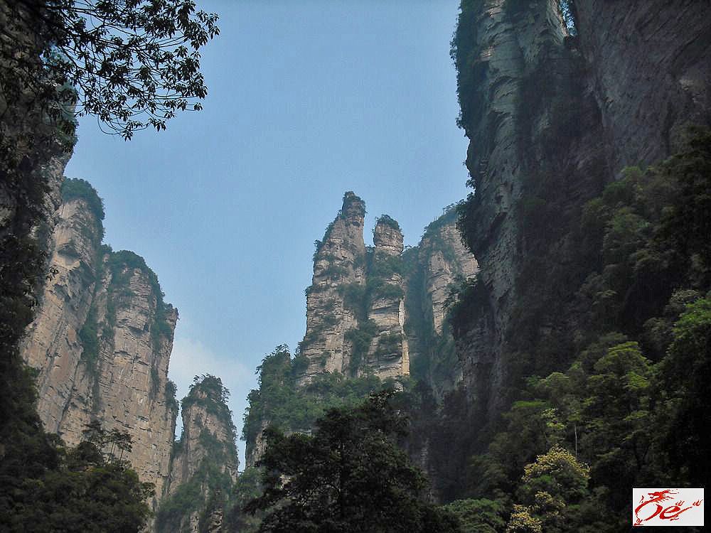 点击在新窗口查看原始图片