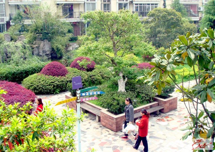 点击在新窗口查看原始图片