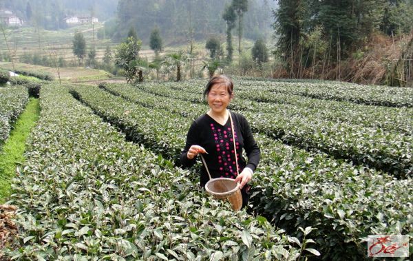 点击在新窗口查看原始图片