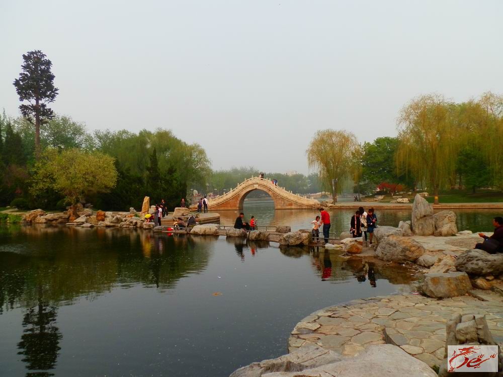 点击在新窗口查看原始图片