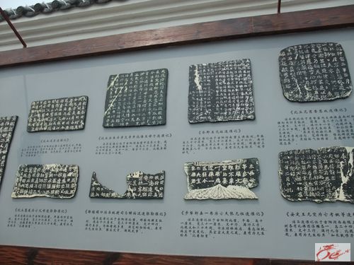点击在新窗口查看原始图片