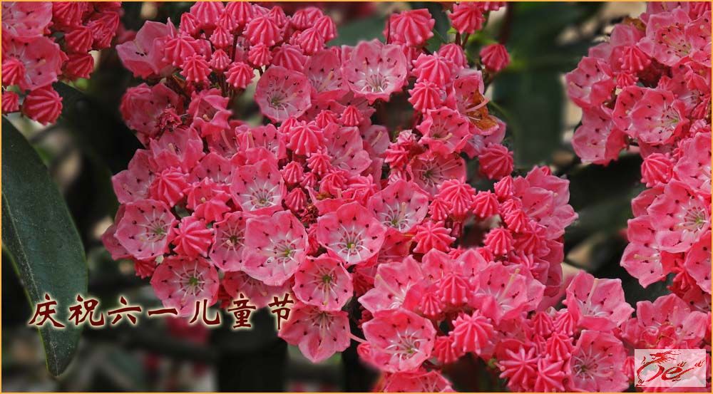 点击在新窗口查看原始图片