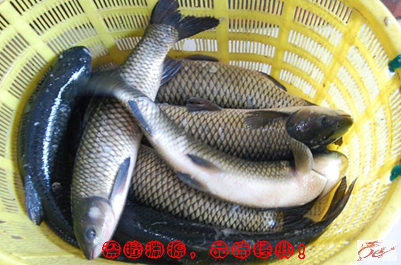 点击在新窗口查看原始图片