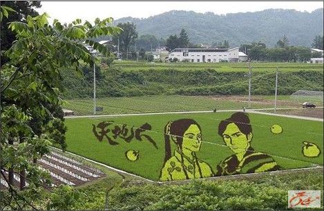 点击在新窗口查看原始图片