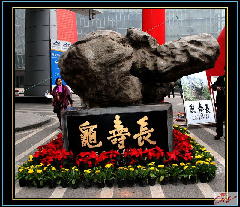 点击在新窗口查看原始图片