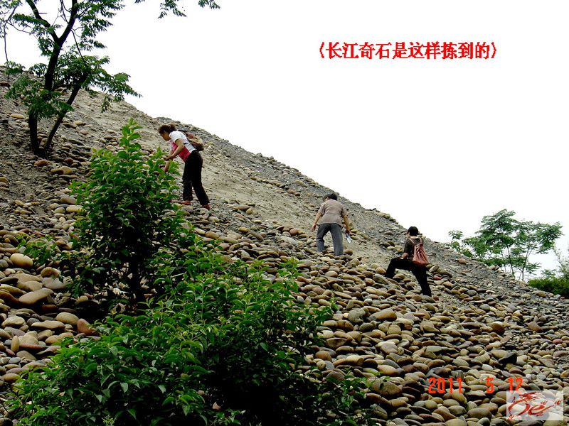 点击在新窗口查看原始图片