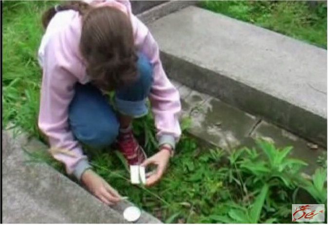 点击在新窗口查看原始图片