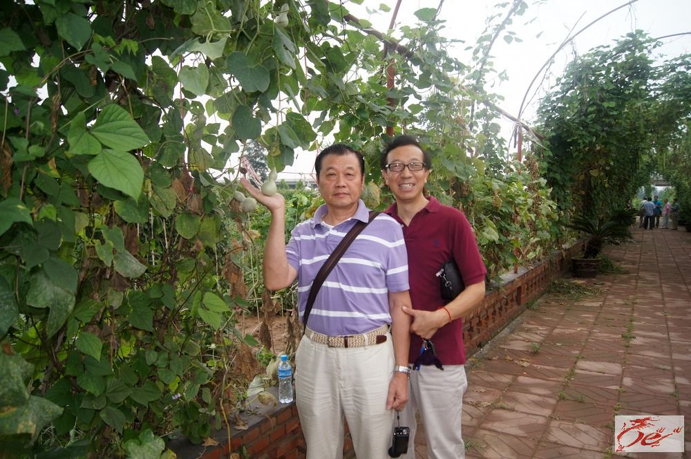 点击在新窗口查看原始图片