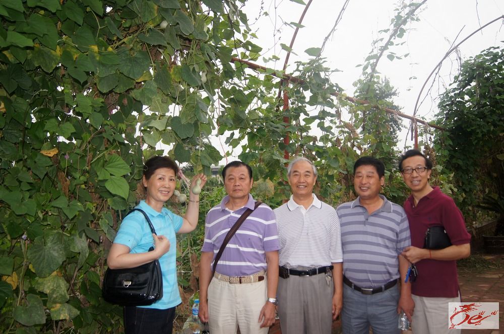 点击在新窗口查看原始图片