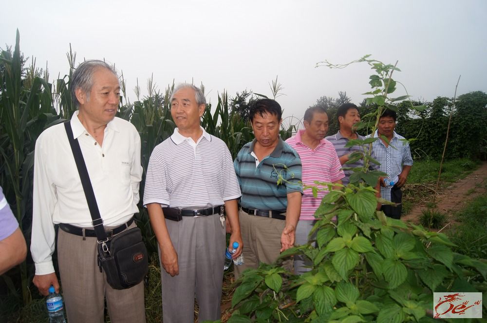 点击在新窗口查看原始图片