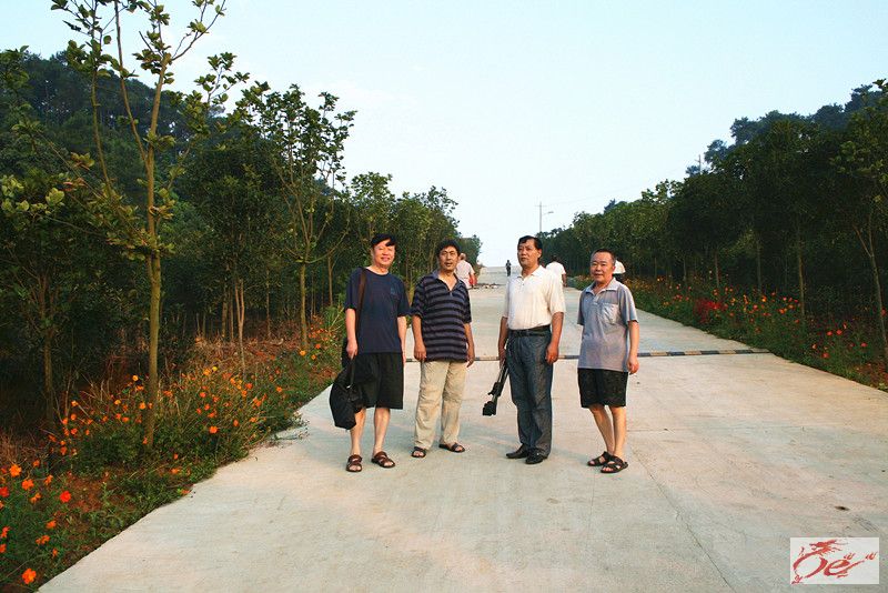 点击在新窗口查看原始图片