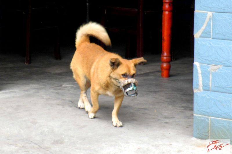 点击在新窗口查看原始图片