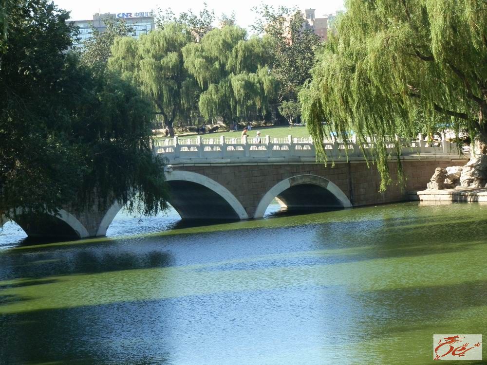 点击在新窗口查看原始图片