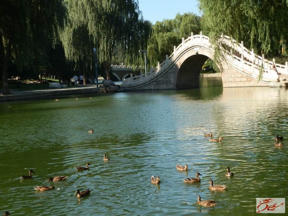 点击在新窗口查看原始图片