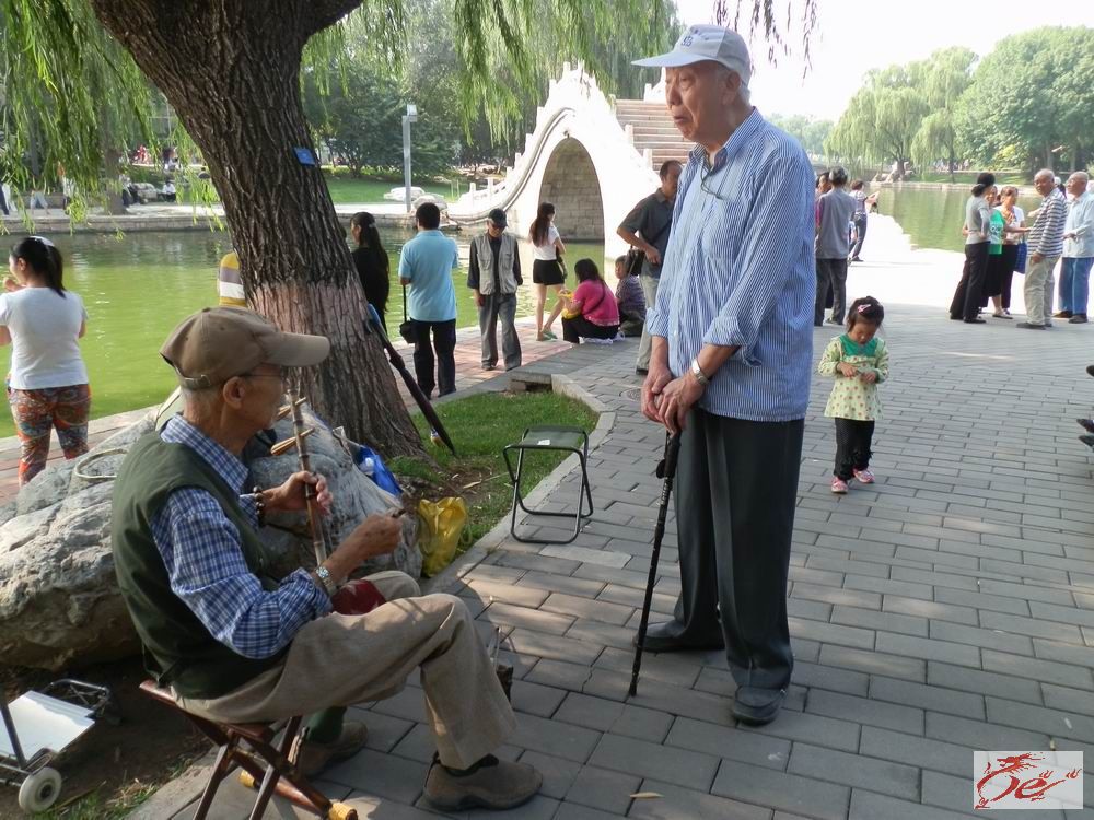 点击在新窗口查看原始图片