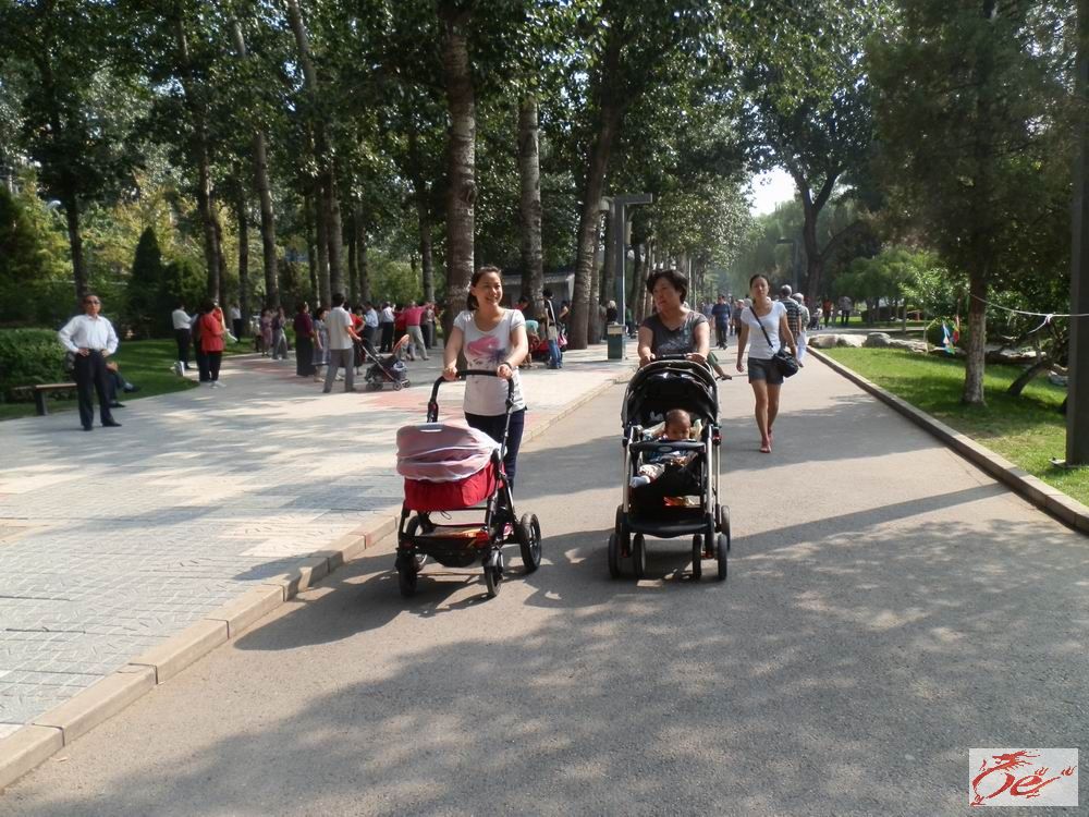 点击在新窗口查看原始图片