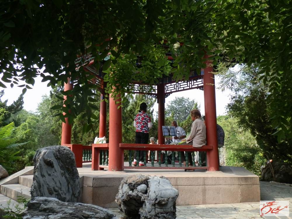 点击在新窗口查看原始图片