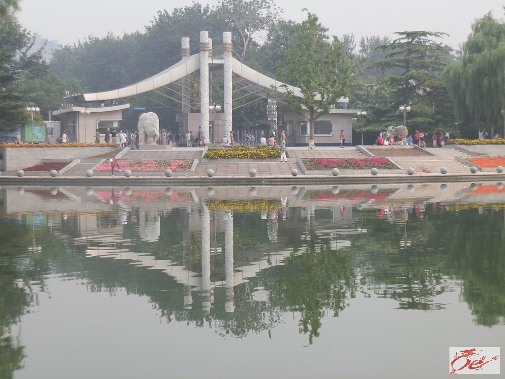 点击在新窗口查看原始图片