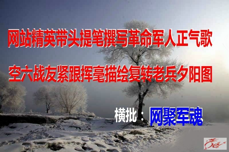 点击在新窗口查看原始图片