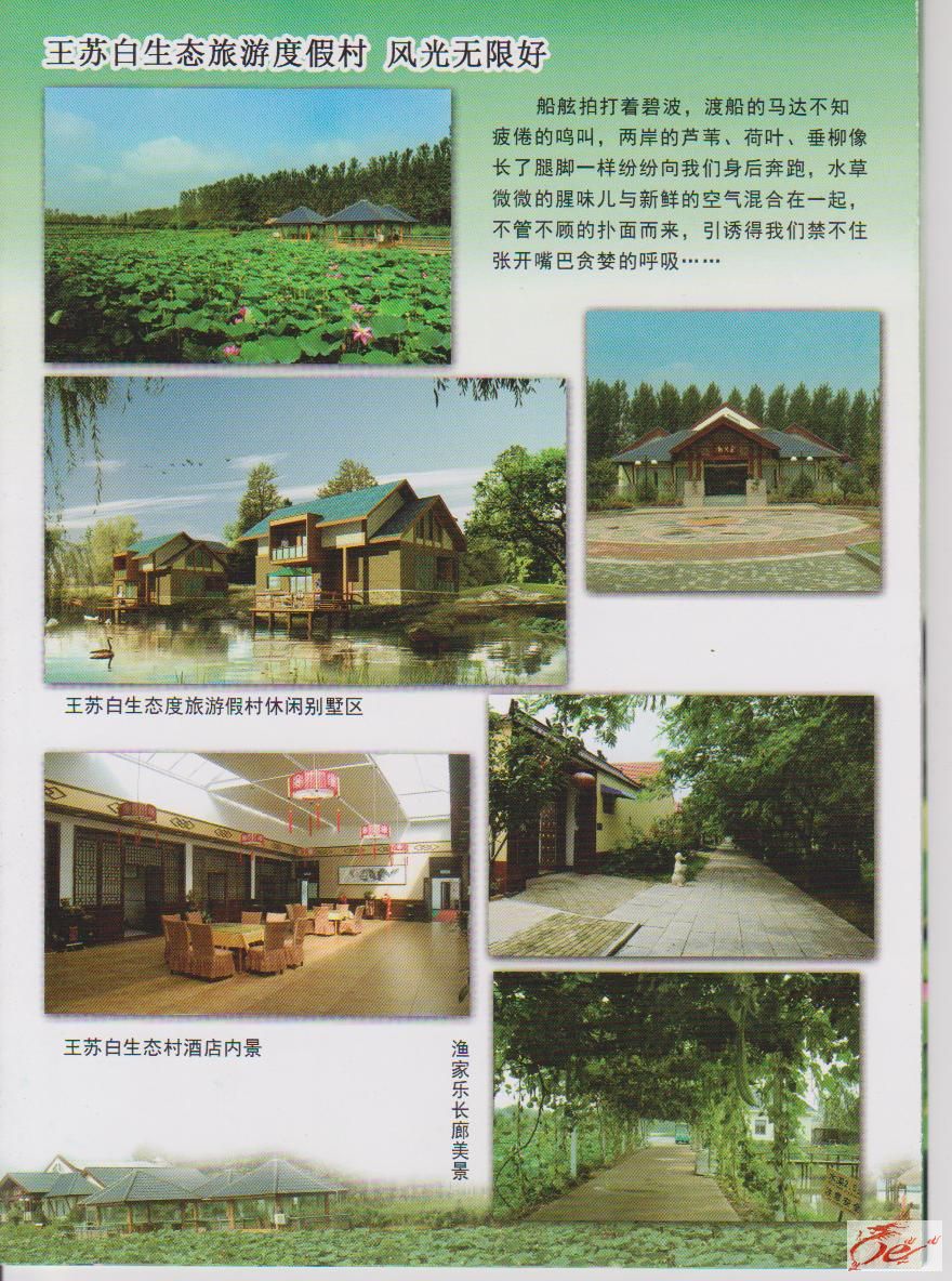 点击在新窗口查看原始图片