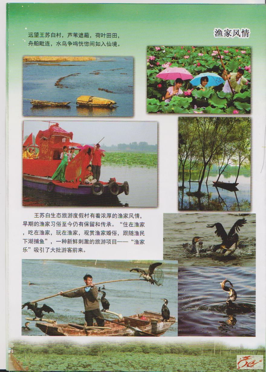 点击在新窗口查看原始图片