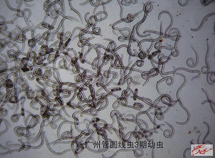 点击在新窗口查看原始图片
