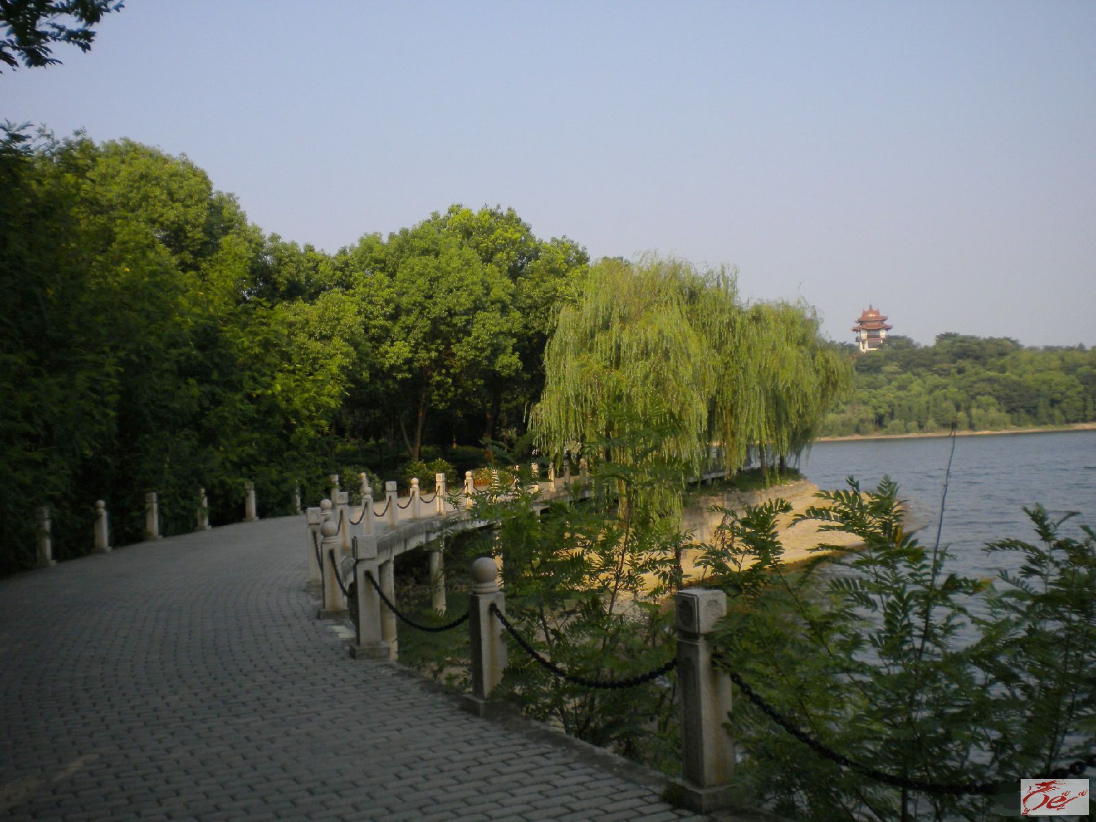 点击在新窗口查看原始图片