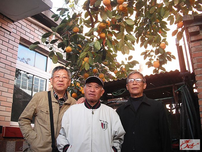 点击在新窗口查看原始图片