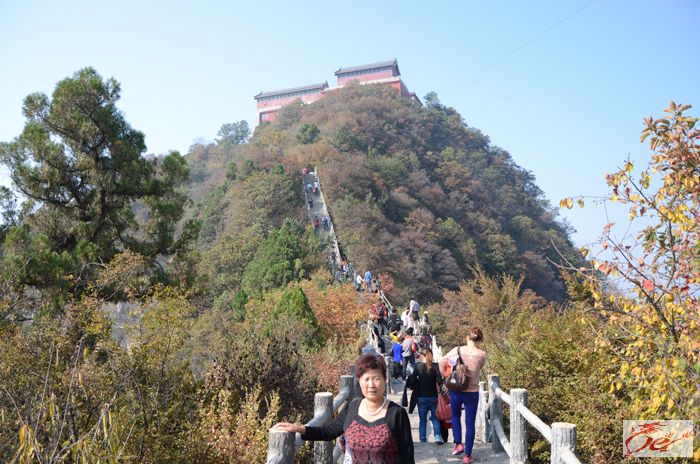 点击在新窗口查看原始图片