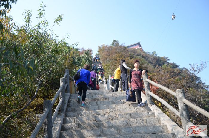 点击在新窗口查看原始图片