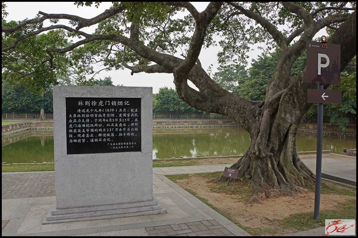 点击在新窗口查看原始图片