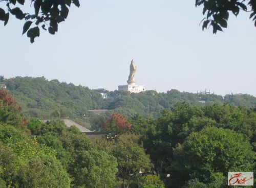 点击在新窗口查看原始图片