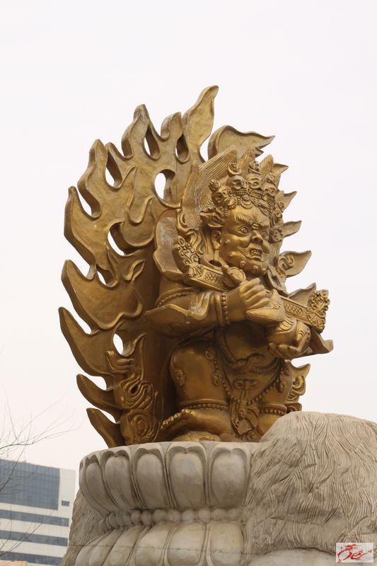 点击在新窗口查看原始图片