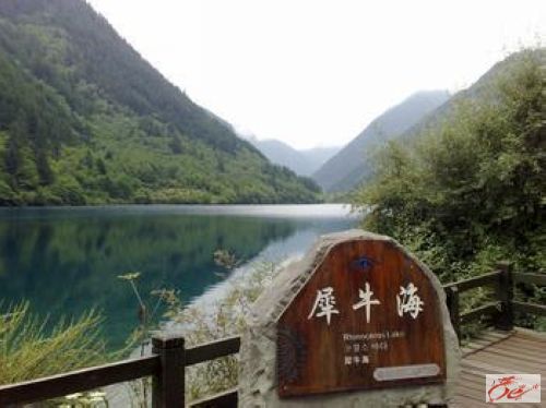 点击在新窗口查看原始图片