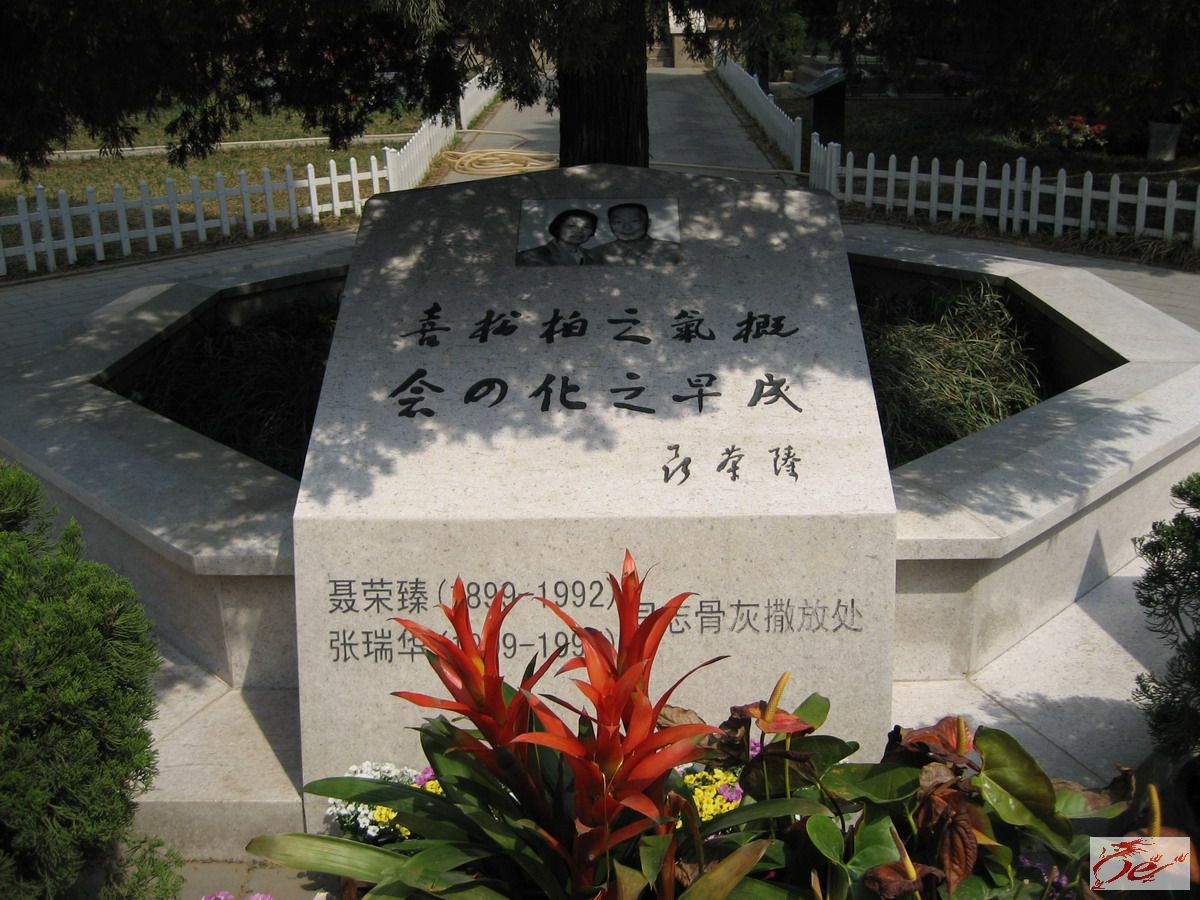 点击在新窗口查看原始图片