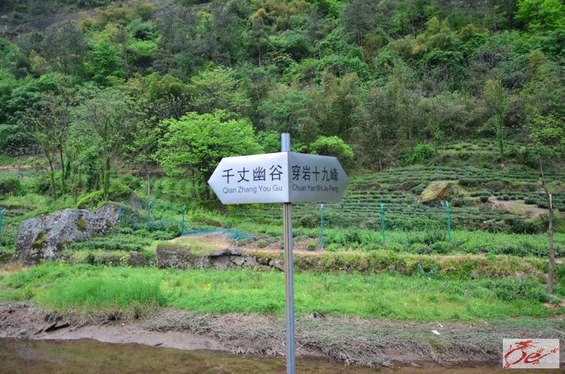 点击在新窗口查看原始图片