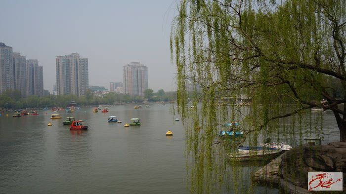 点击在新窗口查看原始图片