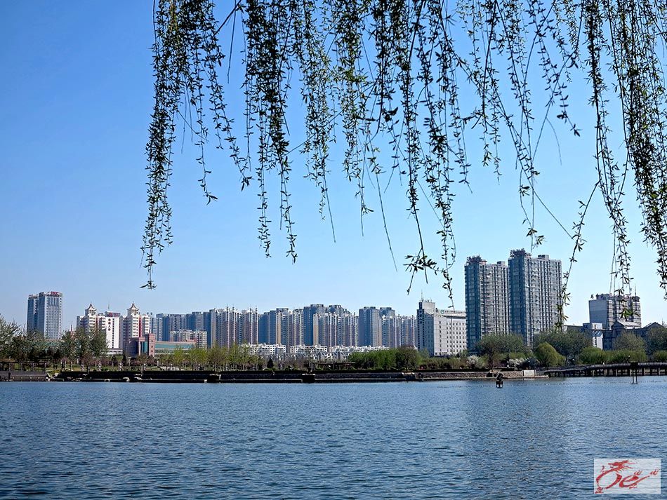 点击在新窗口查看原始图片