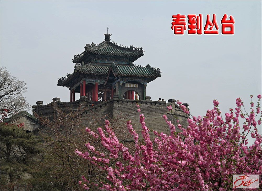 点击在新窗口查看原始图片