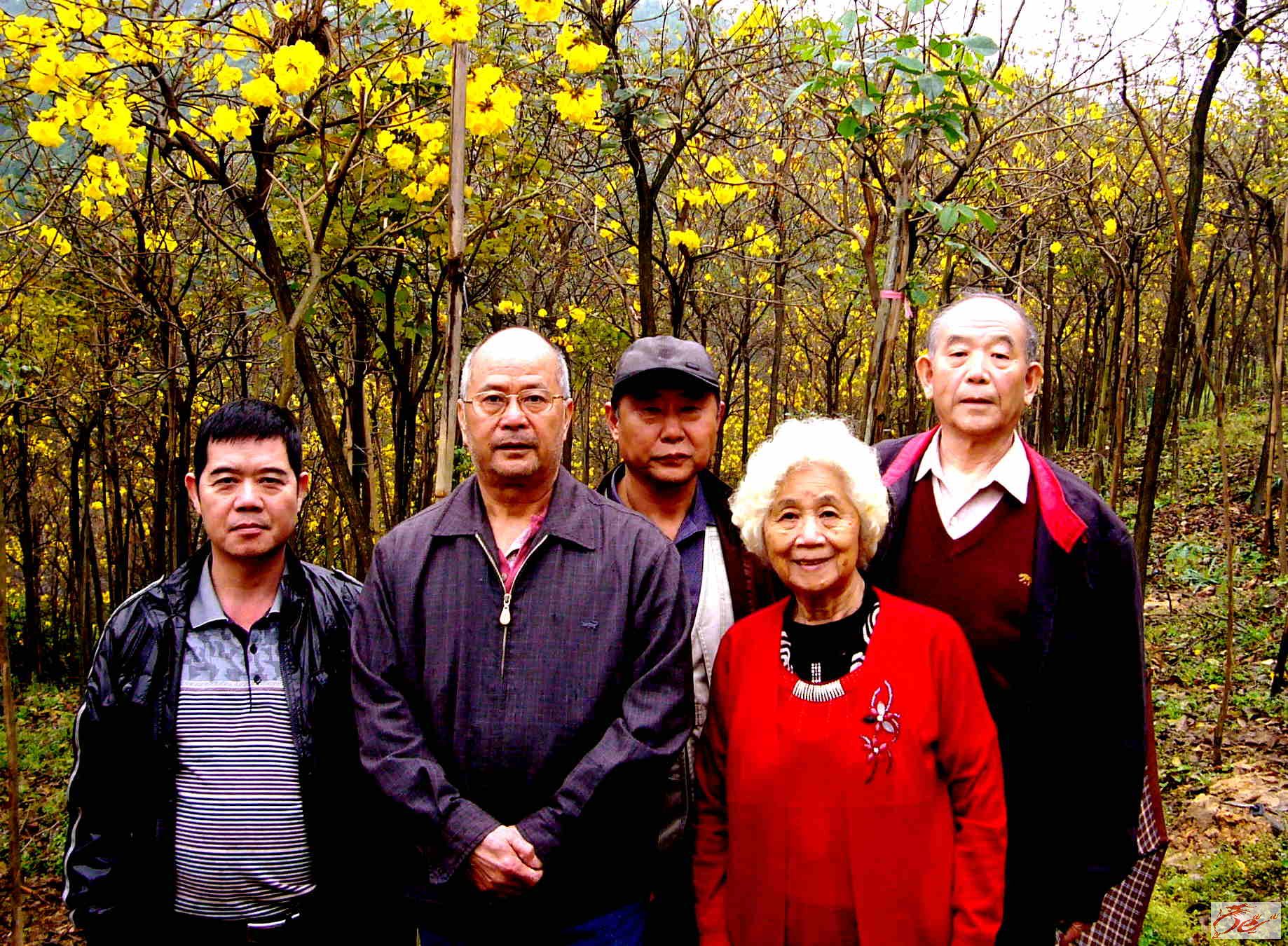 点击在新窗口查看原始图片