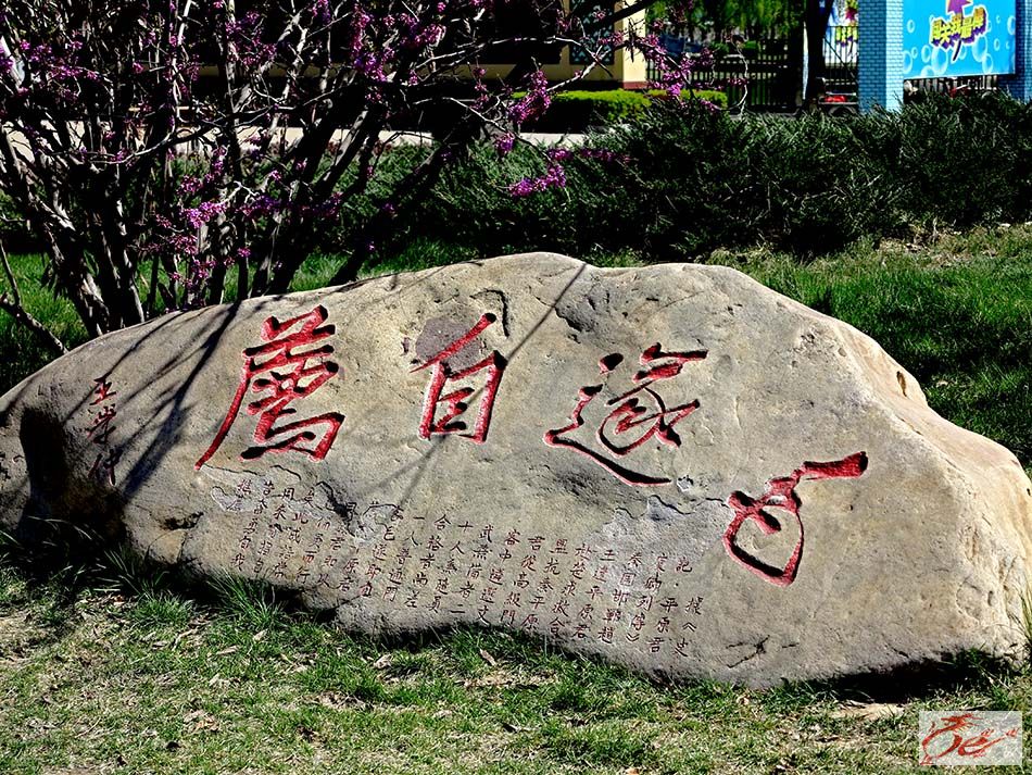 点击在新窗口查看原始图片
