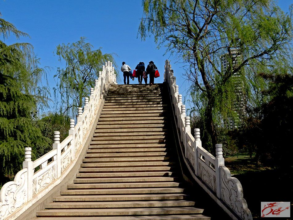 点击在新窗口查看原始图片