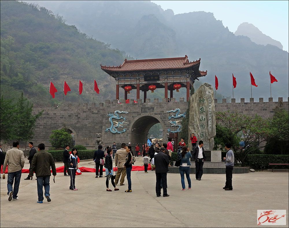 点击在新窗口查看原始图片