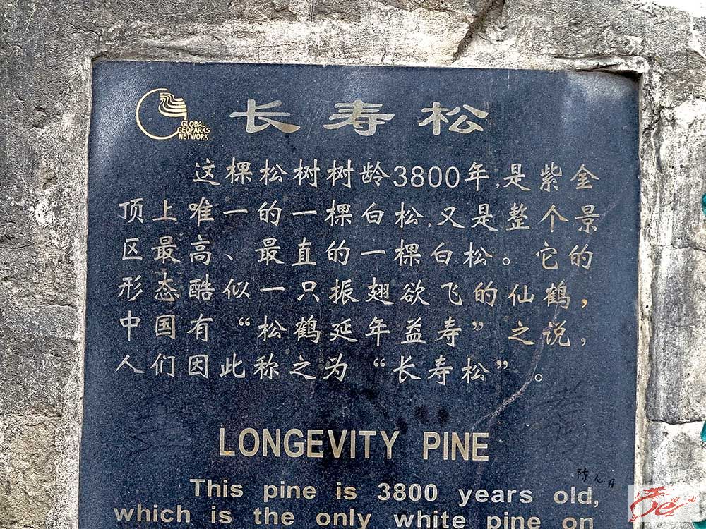 点击在新窗口查看原始图片