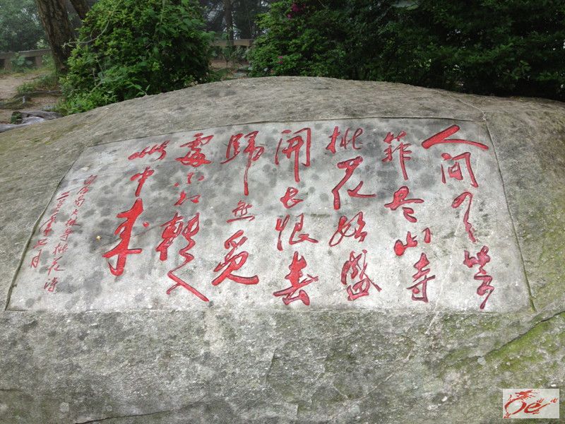 点击在新窗口查看原始图片
