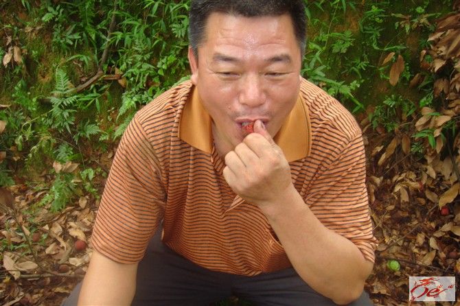 点击在新窗口查看原始图片