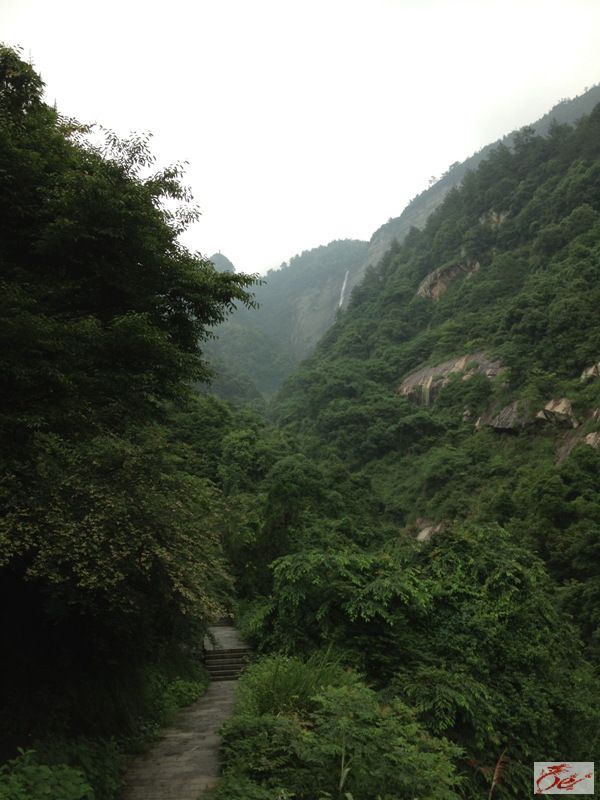 点击在新窗口查看原始图片