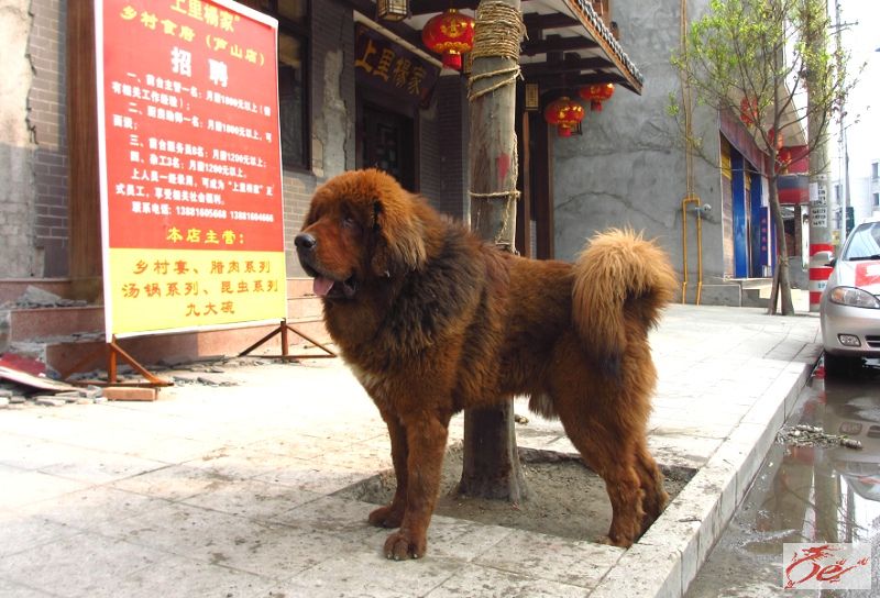 点击在新窗口查看原始图片