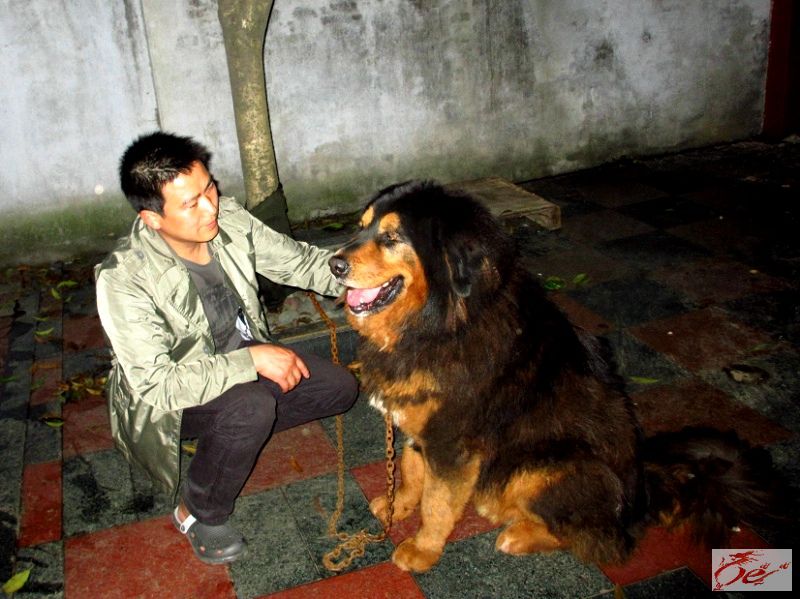 点击在新窗口查看原始图片
